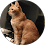 <a href="https://www.google.com/maps/reviews/@4.6575953,-74.0761007,17z/data=!4m6!14m5!1m4!2m3!1sChZDSUhNMG9nS0VJQ0FnSUR5emRlREx3EAE!2m1!1s0x0:0x729c5ece6d903b67?entry=ttu&g_ep=EgoyMDI1MDYwOS4wIKXMDSoASAFQAw%3D%3D" target="_blank">Carlos Peña</a>